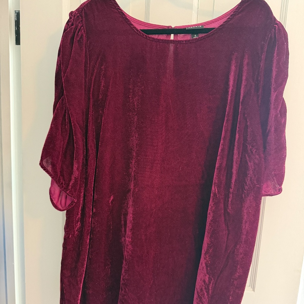 Red velvet blouse - 4x